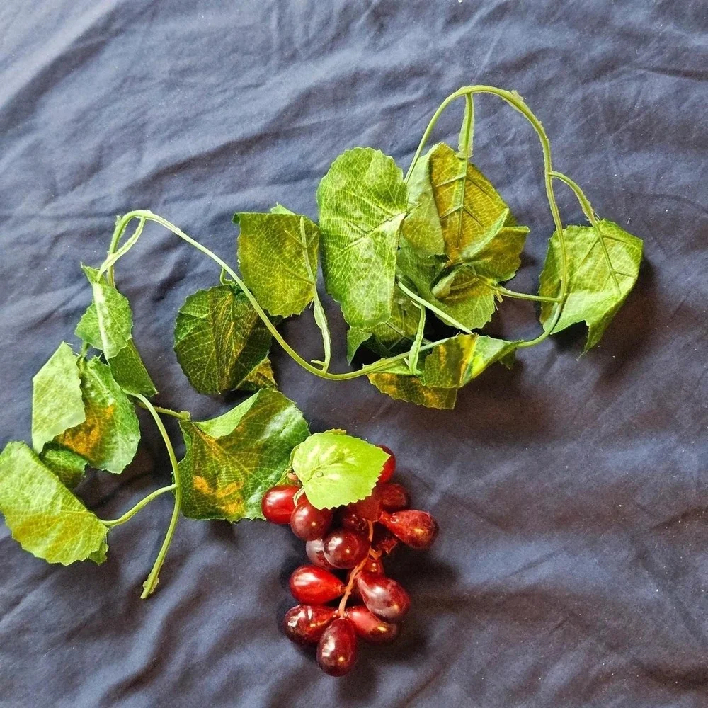 Red plastic‎ grape cluster with green leaves